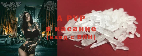 индика Алексин