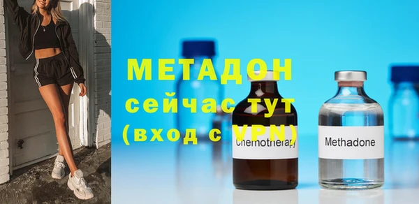 индика Алексин
