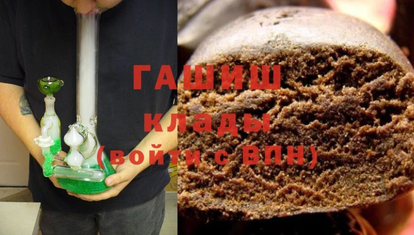 индика Алексин