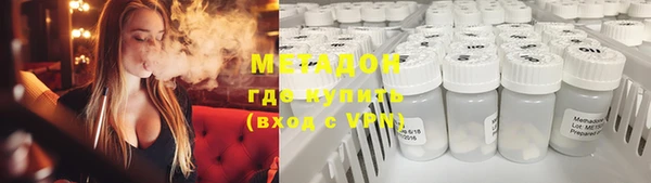 индика Алексин