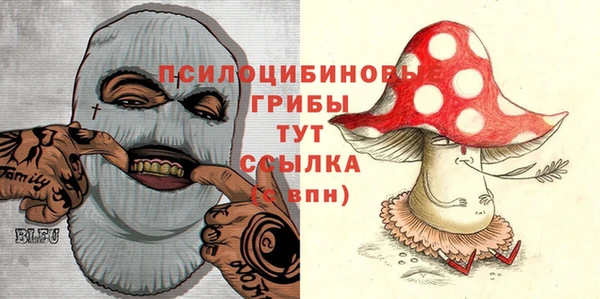 индика Алексин