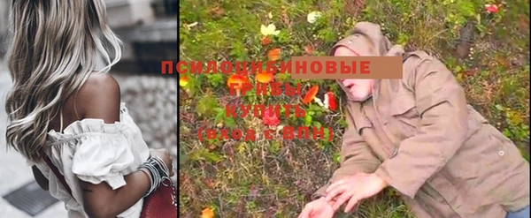 индика Алексин
