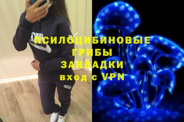индика Алексин