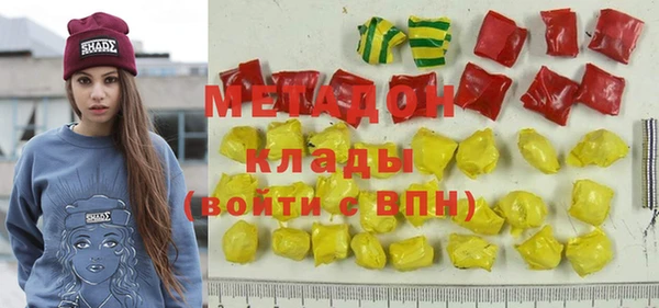 индика Алексин