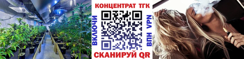 KRAKEN как зайти  Вышний Волочёк  Дистиллят ТГК Wax  сколько стоит 