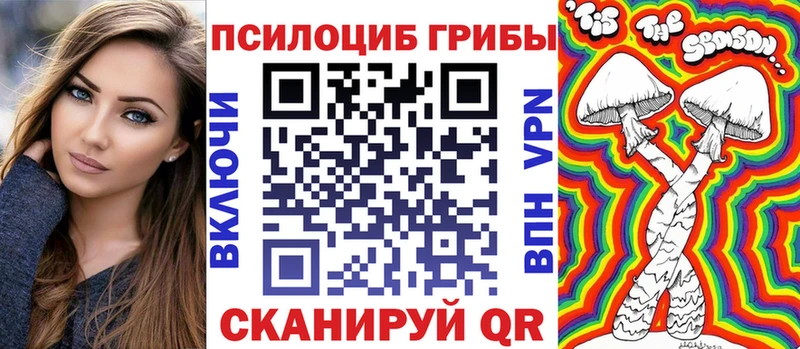 Галлюциногенные грибы Psilocybe  Вышний Волочёк 